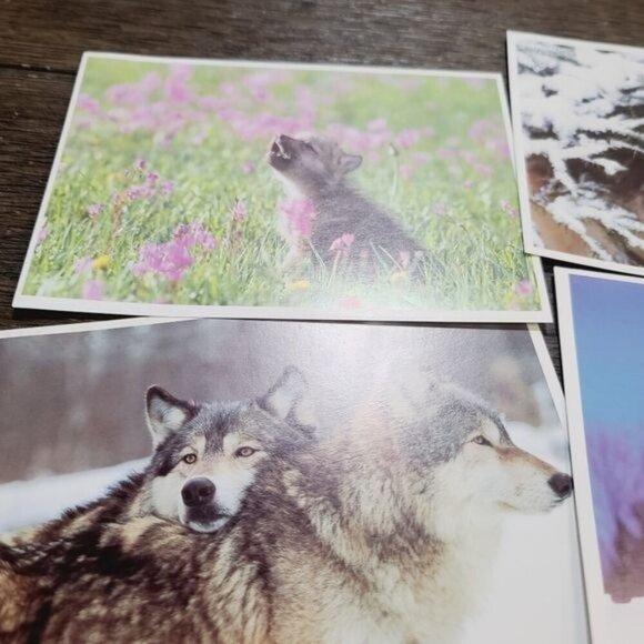 Defenders of Wildlife Gray Wolf Canis Lupus Blank Notecards - Picture 5 of 9